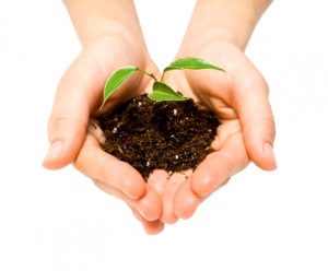 Lead nurturing - sowing the seeds of trust