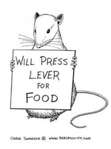 Black and white sketch of a rat holding a sign reading "Will press lever for food"