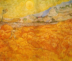 harvesting crops
